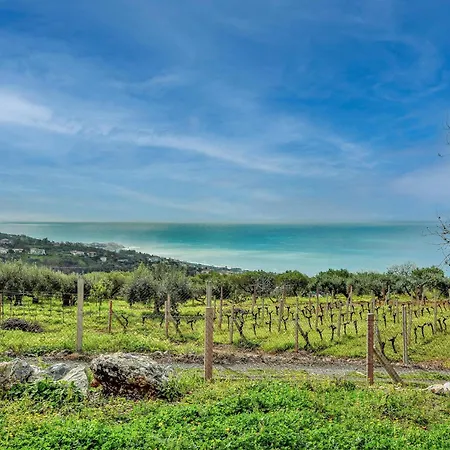 1 Bedroom Awesome In Diamante