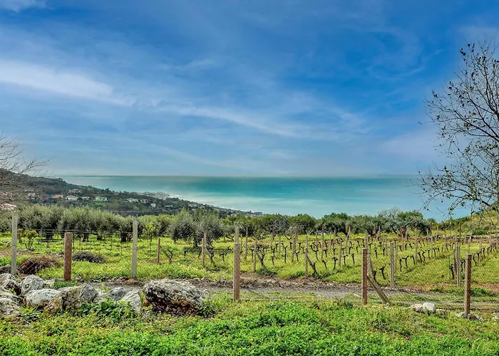 1 Bedroom Awesome In Diamante